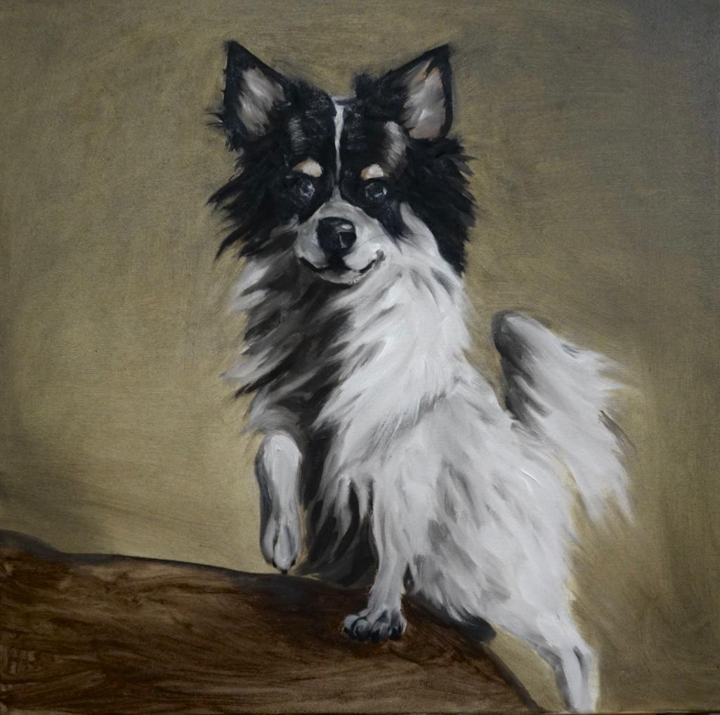 Papillon Dog Portrait — Original oil painting by Sakina Ghulam, available for $450